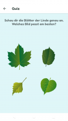 Leaf quiz