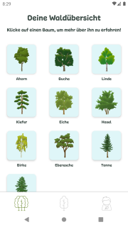 Overview tree species